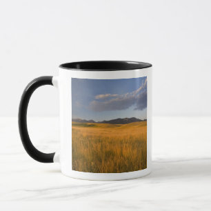 Taza Praderas en las estribaciones de las