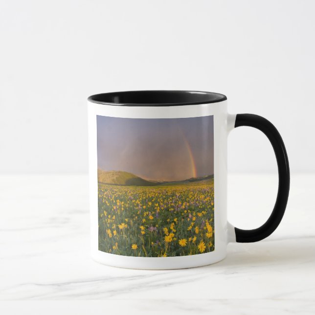 Taza Prado de flores silvestres espectacular al amanece (Derecha)