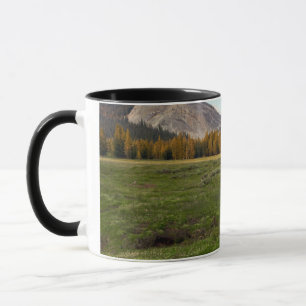 Taza Prado de Tuolumne, Yosemite