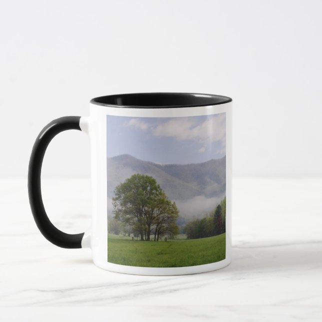 Taza Prado macizo y montaña rica, Cades Cove, (Izquierda)