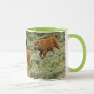 Taza Precipitación del valle de Lamar mini