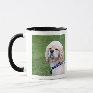 Taza Presentación linda joven del perro