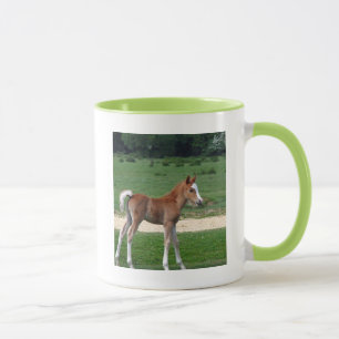 Taza Primavera linda de los regalos del destino del