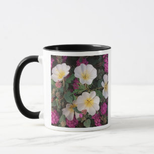 Taza Primavera nocturna del desierto y Verbena de arena