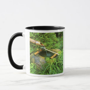 Taza Primavera para ceremonia del té, templo Sanzen-in,