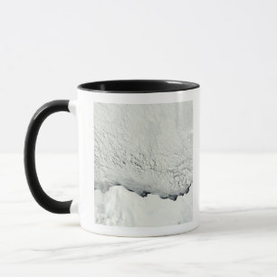 Taza Primavera temprana en el antártico