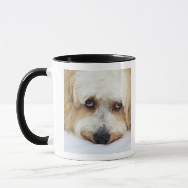 Taza primer chistoso del perro del frise del bichon (Izquierda)