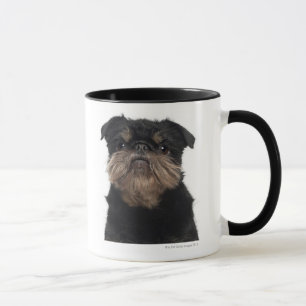 Taza Primer de Griffon bruselense