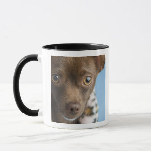 Taza Primer de la chihuahua con el cuello peludo