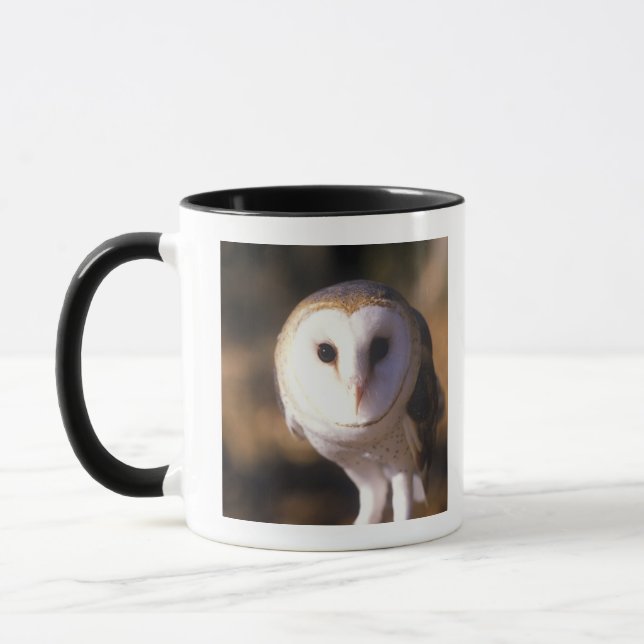 Taza 'Primer de la lechuza común, tierra entre los (Izquierda)