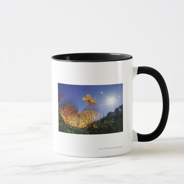 Taza Primer de la mariposa, agitando las alas (Derecha)