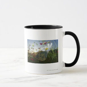 Taza Primer de la mariposa en la flor