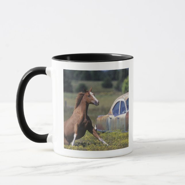 Taza Primer de un caballo que corre cerca de un coche (Izquierda)