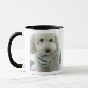 Taza Primer de un caniche miniatura