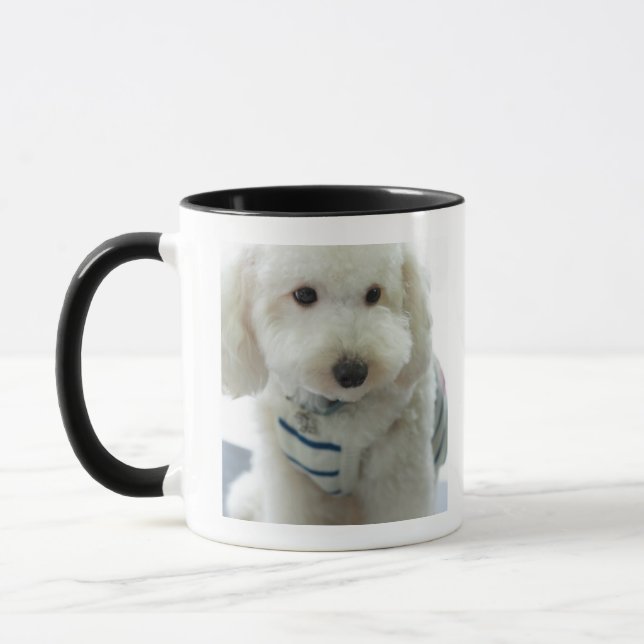 Taza Primer de un caniche miniatura (Izquierda)