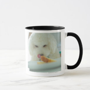 Taza Primer de un caniche miniatura que come la comida