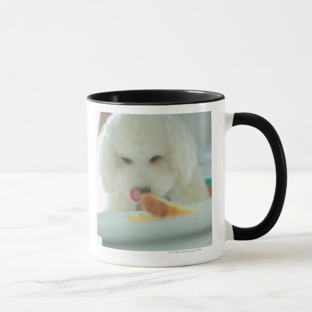 Taza Primer de un caniche miniatura que come la comida (Derecha)