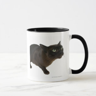Taza Primer de un gato 2