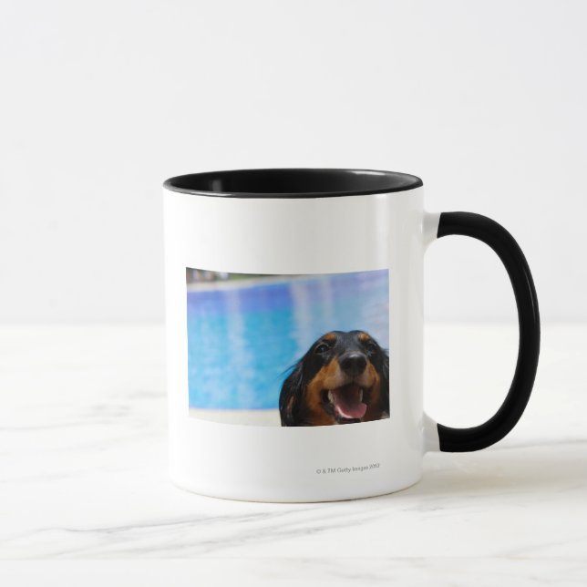 Taza Primer de un jadeo del perro del Dachshund (Derecha)