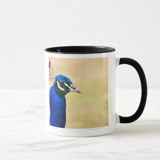 Taza Primer de un pavo real 2 (Derecha)