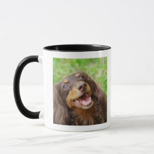 Taza Primer de un perro del Dachshund
