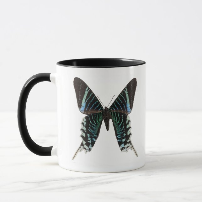 Taza Primer de una mariposa (Izquierda)