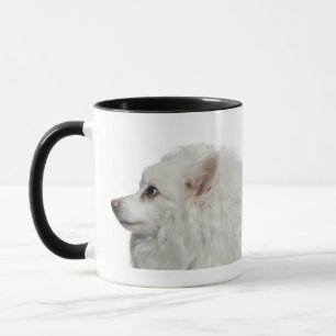 Taza Primer del Keeshond (10 años)