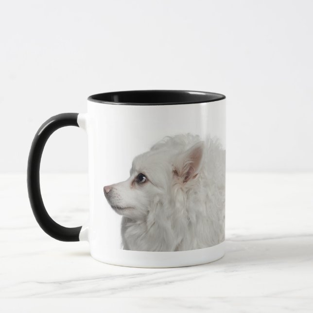 Taza Primer del Keeshond (10 años) (Izquierda)