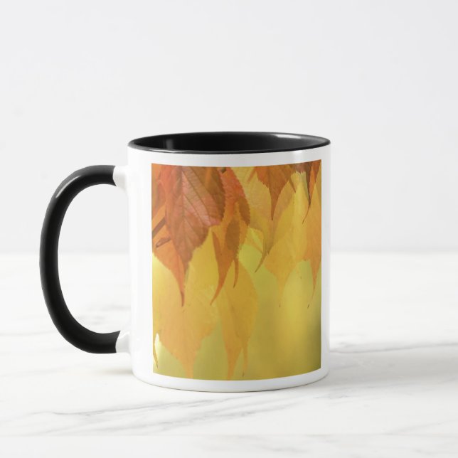 Taza Primer plano de hojas de otoño en una rama (Izquierda)