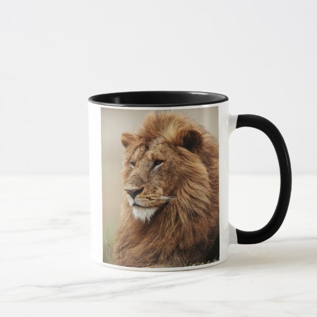 Taza Primer plano de león macho (Derecha)