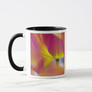 Taza Primer plano del envés de la flor de tulipán, Kuek