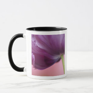 Taza Primer plano del envés de la flor de tulipán, Kuek