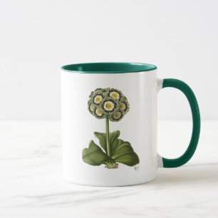 Taza Primula Auricula Blue