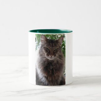 Taza principal del gato de Coon