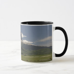 Taza Principal montaña con los pastos de pastar ganado