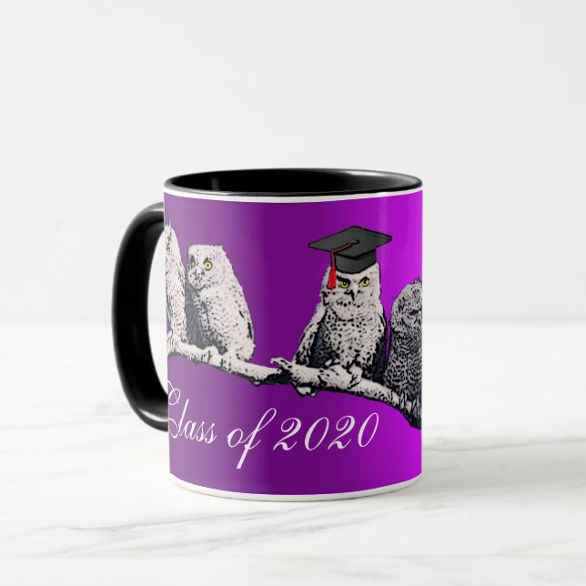 TAZA PROFESOR DE OWL, PEQUEÑO PARTIDO DE GRADUACIÓN DE  (Anverso izquierdo)