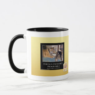 Taza Programas de divisas 2