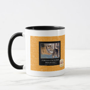Taza Programas de divisas 2