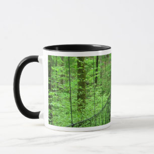 Taza Puente colgante
