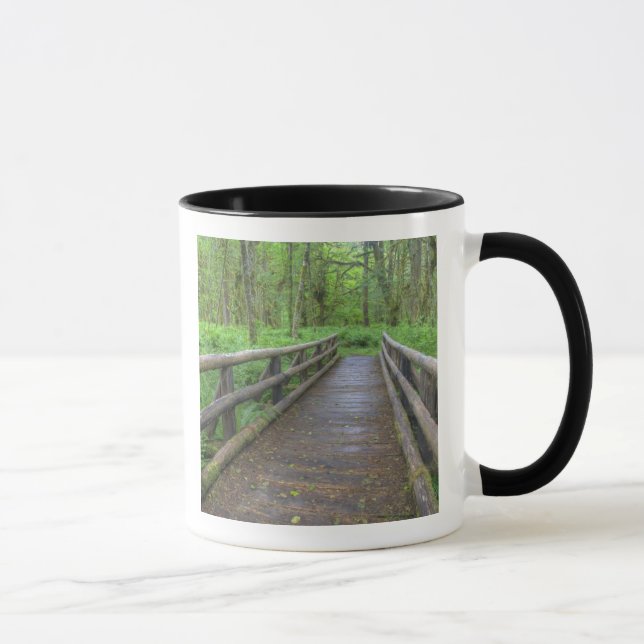 Taza Puente de madera, helechos y pavimentos de la hoja (Derecha)