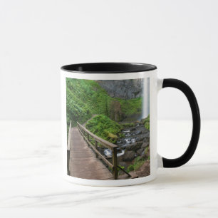 Taza Puente en Latourell Falls, desfiladero del río Col