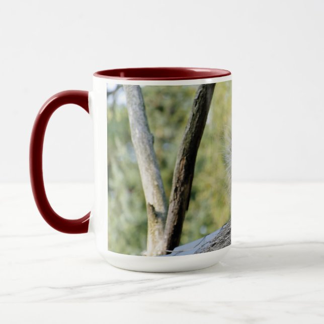 Taza Puercoespín de árbol (Izquierda)