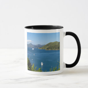 Taza Puerto Picton, Marlborough Sounds, Sur