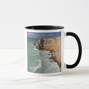 Taza Puerto Rico, costa oeste, Cabo Rojo, costa
