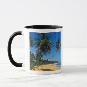 Taza Puerto Rico, Isla Verde, palmeras.