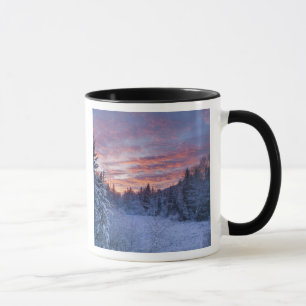 Taza Puesta de sol vívida pinta el cielo sobre invernal