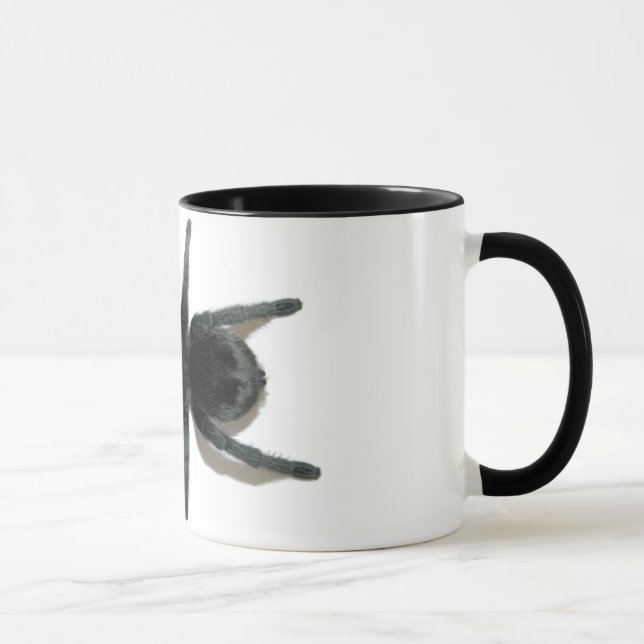 Taza - pulchra de Grammostola (negro brasileño) (Derecha)