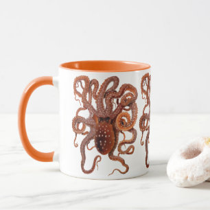 Taza Pulpo Macropus, Animales Acuáticos Marinos Antiguo