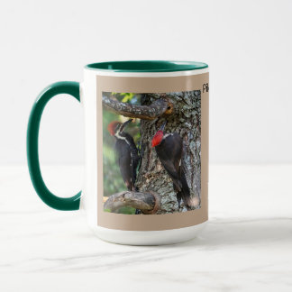 Taza Pulsaciones de corriente de Pileated