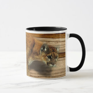 TAZA PUMA